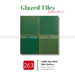 Alternative view of Gạch gốm 263-GG06