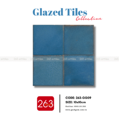 Alternative view of Gạch gốm 263-GG09