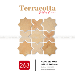 Alternative view of Gạch gốm không men 263-KM01