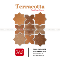 Alternative view of Gạch gốm không men 263-KM02