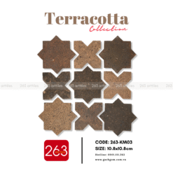 Alternative view of Gạch gốm không men 263-KM03