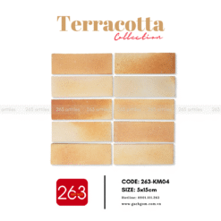 Alternative view of Gạch gốm không men 263-KM04