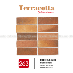 Alternative view of Gạch gốm không men 263-KM05