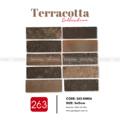 Alternative view of Gạch gốm không men 263-KM06