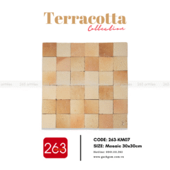 Alternative view of Gạch gốm không men 263-KM07