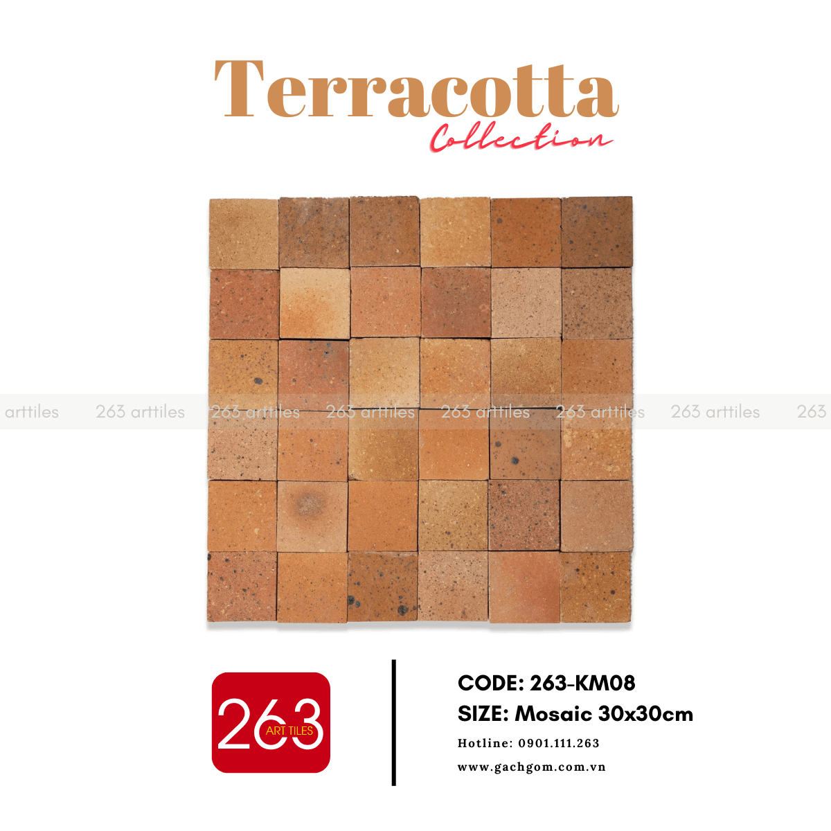 Gạch gốm không men 263-KM08 - Ảnh 2