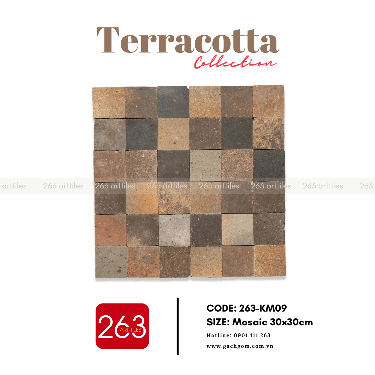 Gạch gốm không men 263-KM09 - Ảnh 2