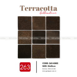 Alternative view of Gạch gốm không men 263-KM12